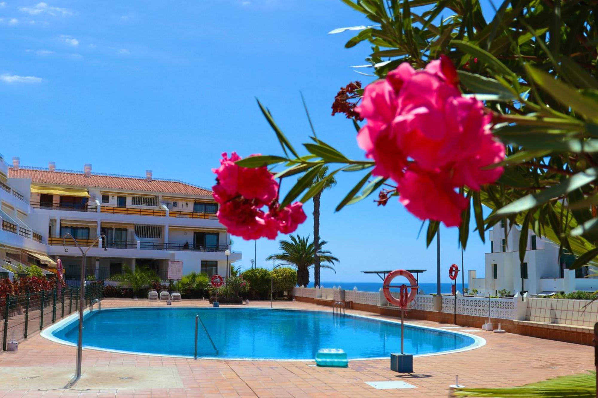 Sunflower Apartment Just Relax 푸에르토 데 산티아고 외부 사진